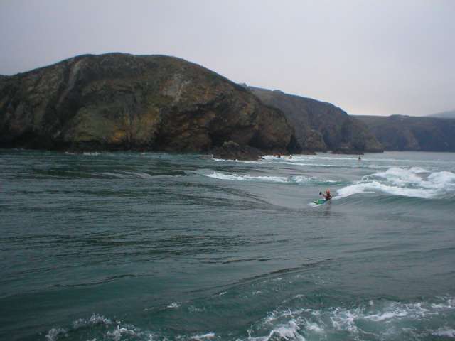 Stu surfing the wave.