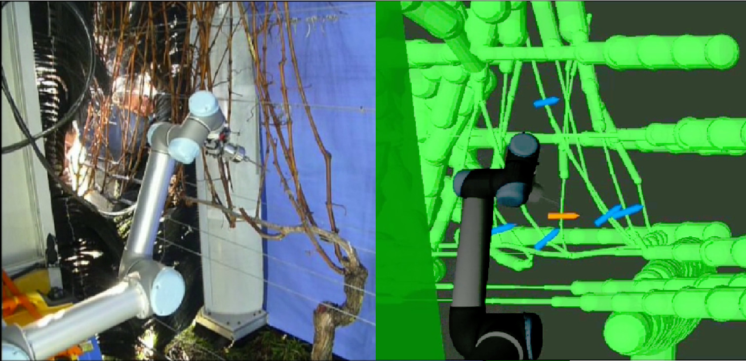 Pruning Robot Motion Planning